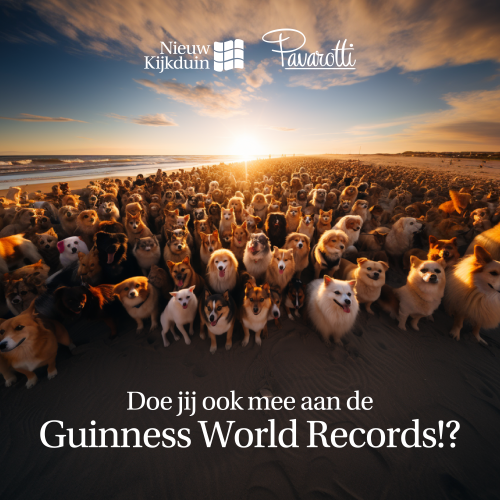 honderden honden op het strand met de tekst "Doe jij ook mee met het Guinness World Records?"